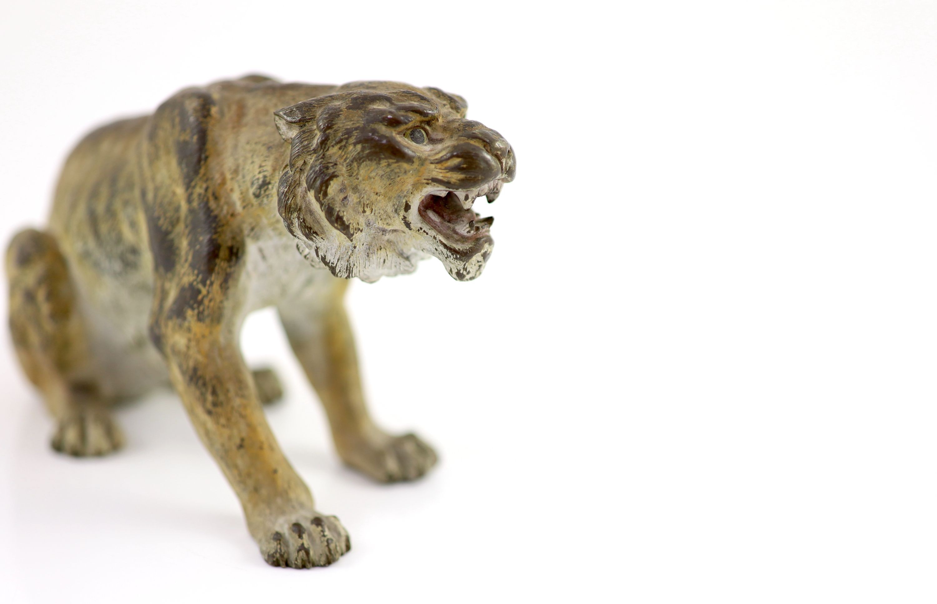 A Franz Bergman cold painted bronze model of a snarling tiger H 10cm. L 19cm.